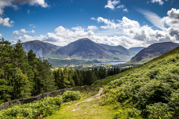 Grasmoor beyond Crummock Water from the path above Holme Wood (www.andrewswalks.co.uk)